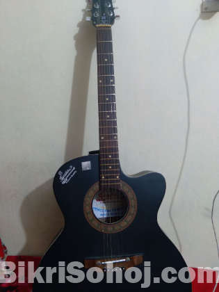 Loud series guitar